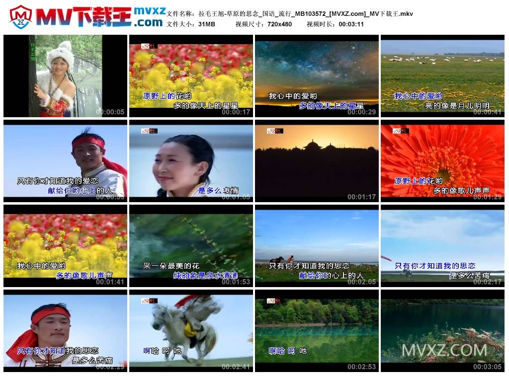 拉毛王旭-草原的思念_国语_流行_MB103572